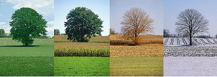 新年史低特惠！《极限竞速：地平线5》顶级版平史低4.5折！