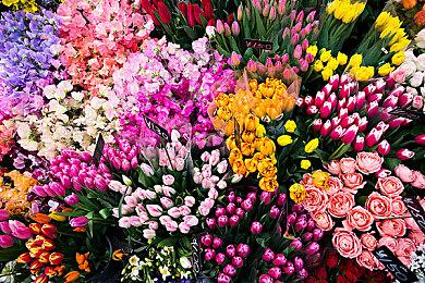 id Software帮助了《星空》的画面 但没有参与战斗